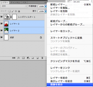 layer1